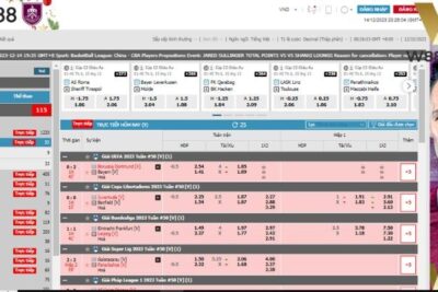 Hướng dẫn cách cá cược bóng đá W88 hiệu quả và an toàn