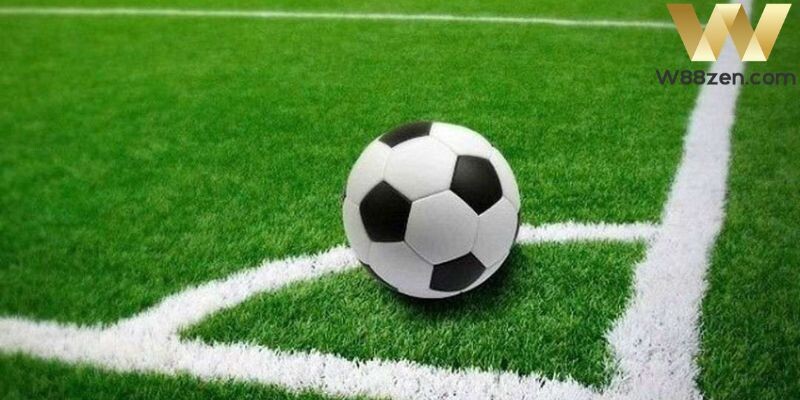 Kinh nghiệm chơi kèo rung từ những chuyên gia cá cược hàng đầu